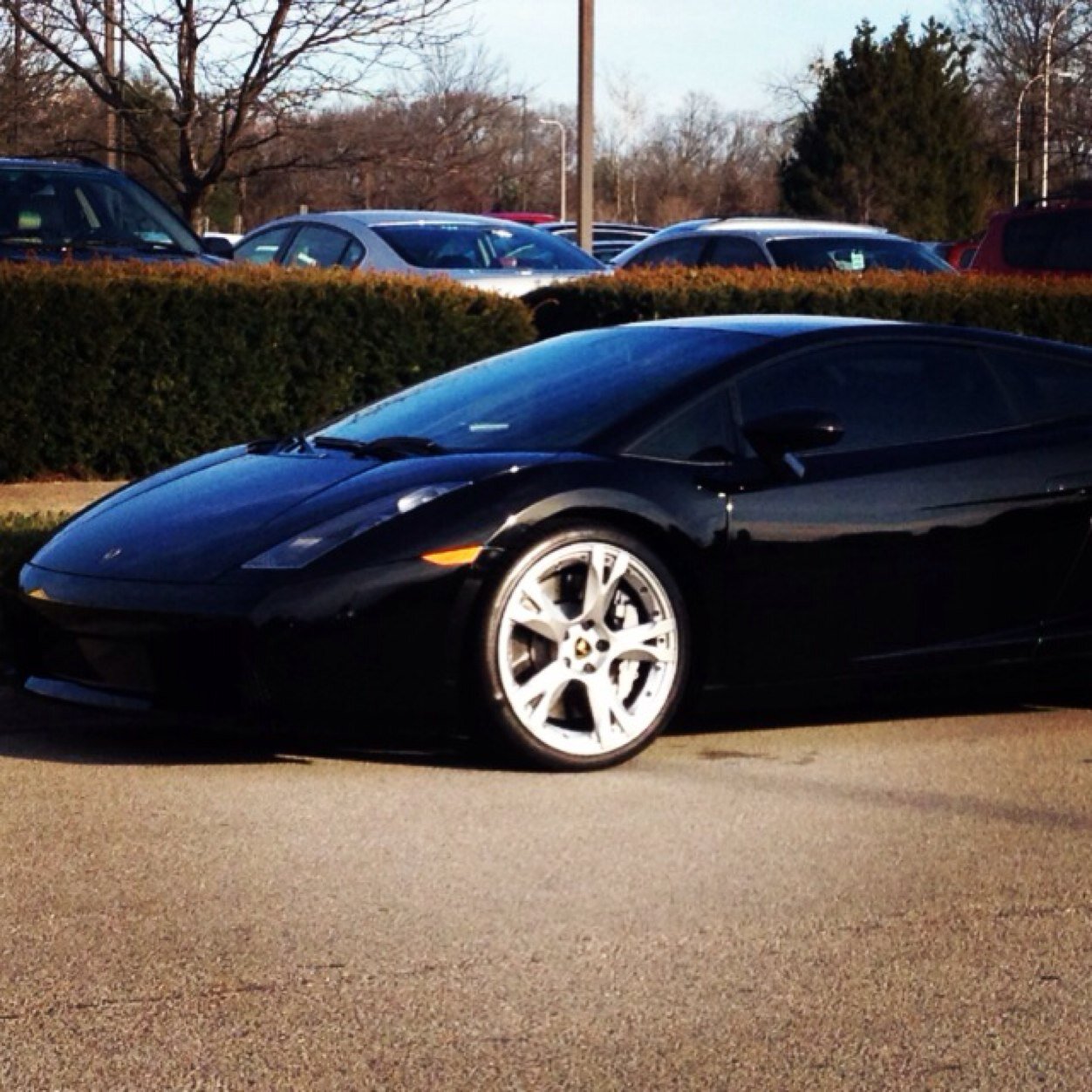 KappaThe's profile picture. Xbox One | Call Of Duty Player | F/A  | Kap them flags |Everything is About Timeing | Knowledge