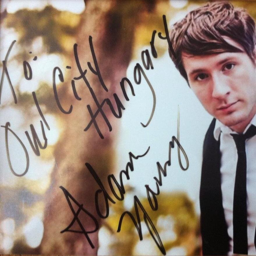 The Hungarian Owl City community, since 2010! /// A magyar Owl City közösség, 2010 óta! #HootOwls