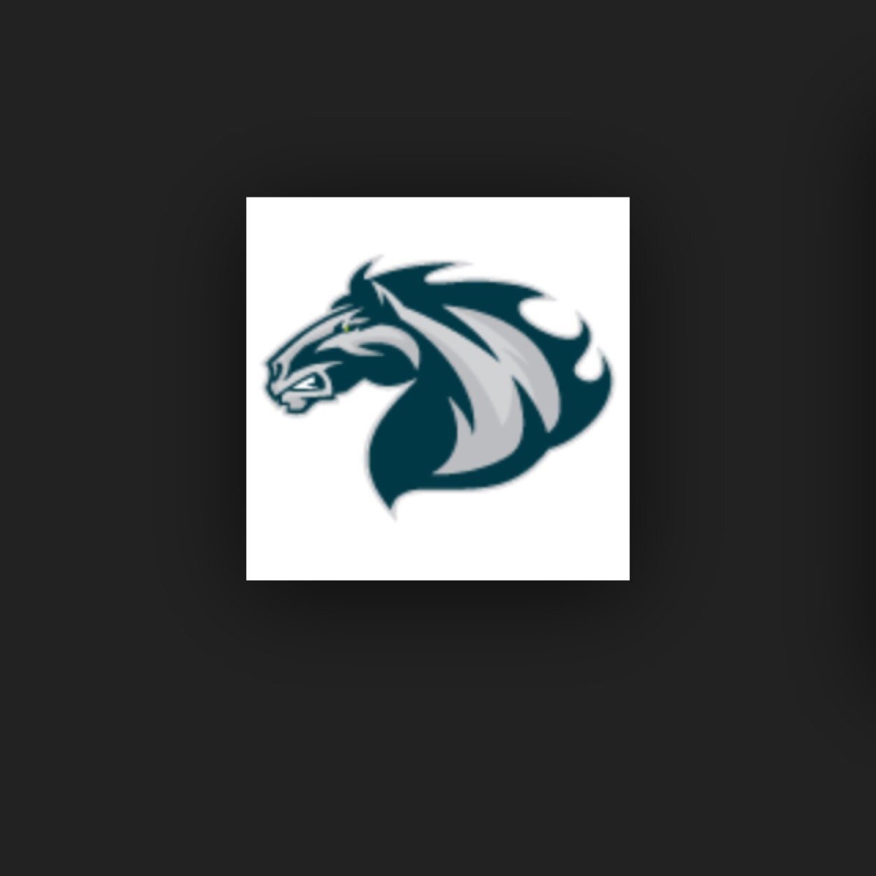 BluegrassLC's profile picture. Louisville's Bluegrass Lacrosse Club