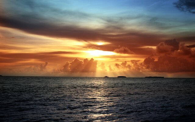 NiyaazTyler's profile picture. #Mia