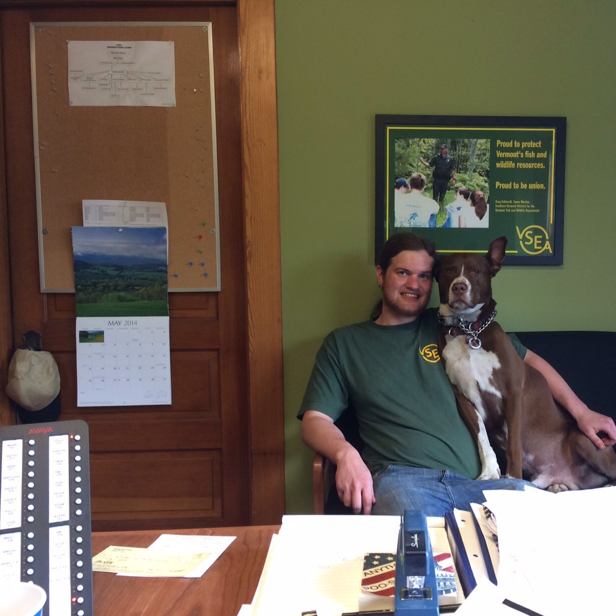 AdamNorton62's profile picture. 