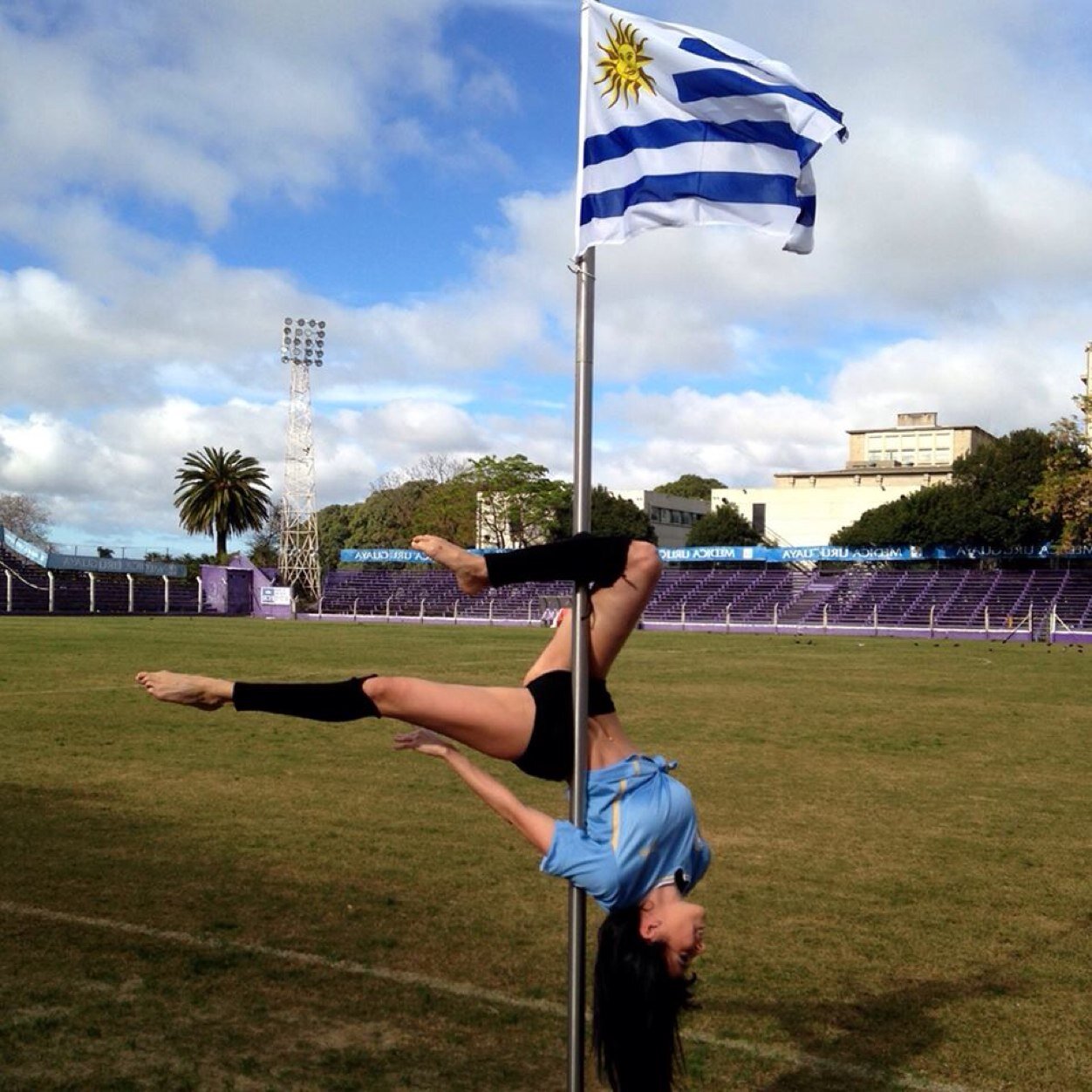 beluponce's profile picture. 