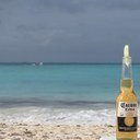 Tlahuicole28's profile picture. 