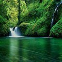 uselas's profile picture. 