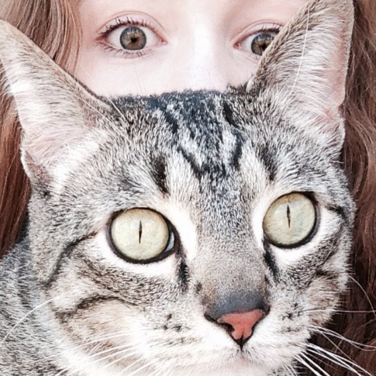 1digitmissing's profile picture. 