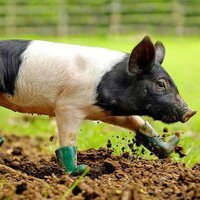 ChefKevinChurch (@chefkevinchurch) 's Twitter Profile