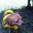 isabel_og's profile image