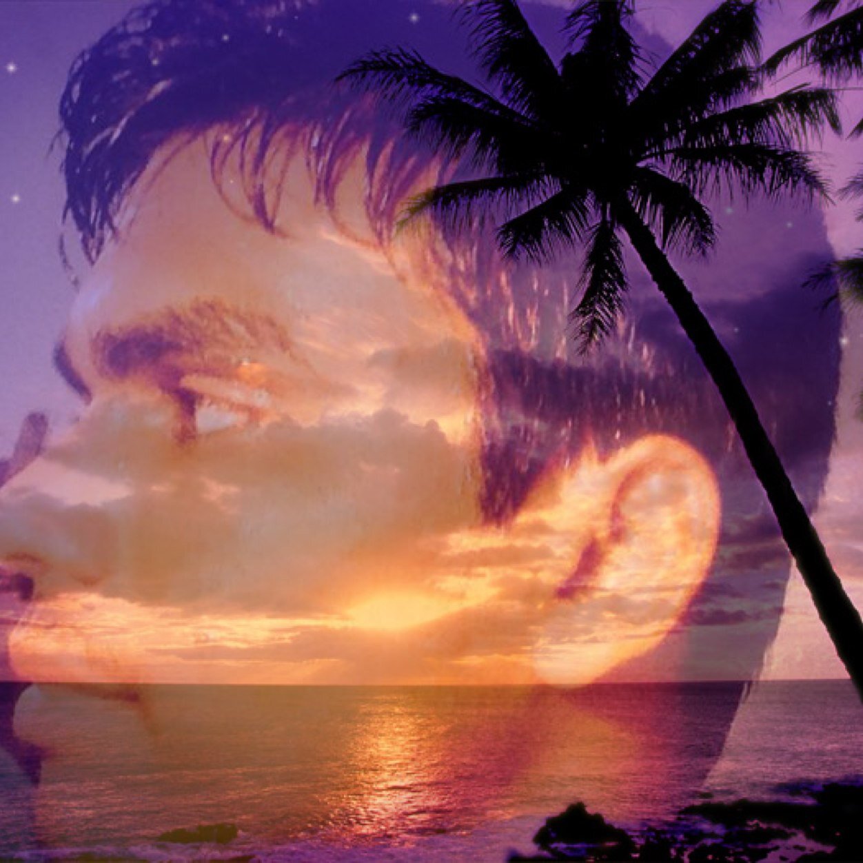 piraveen1995's profile picture. Hi