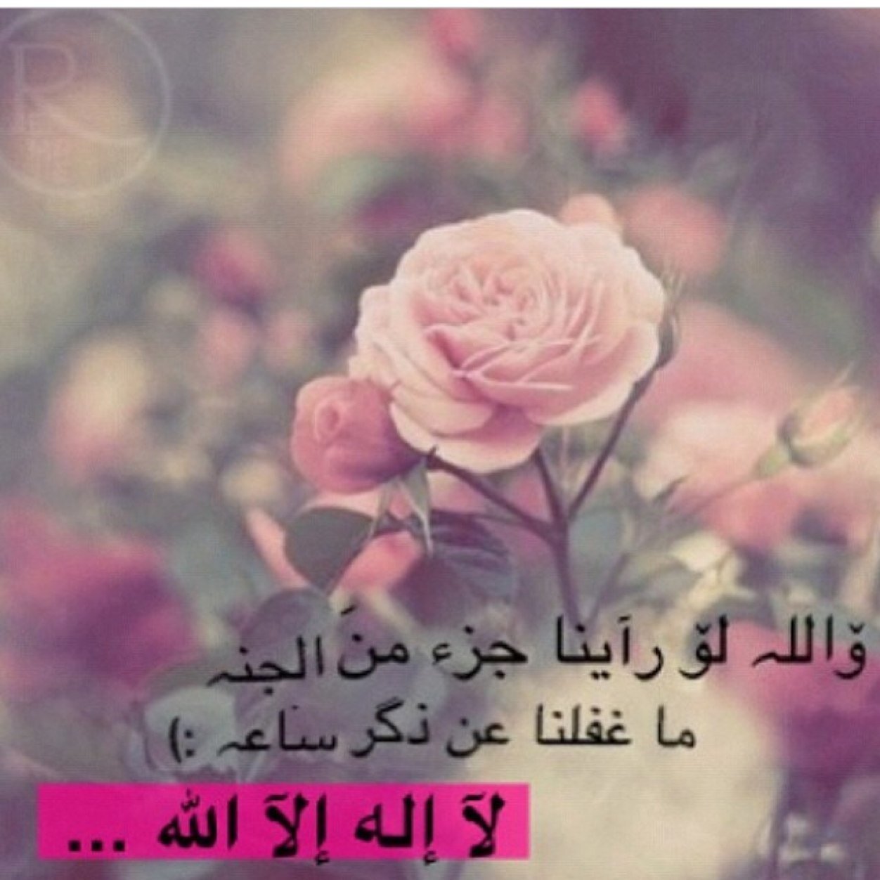 ذكر الله يرضي الرحمن ويسعد الإنسان ويذهب الأحزان ويملأ الميزان