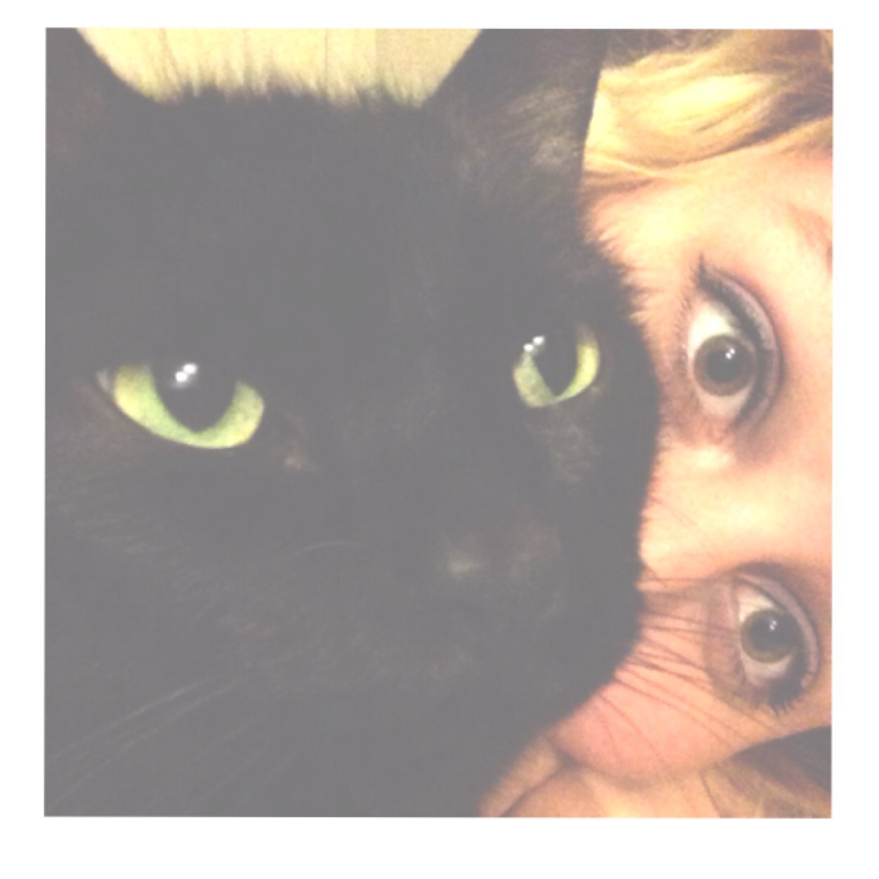 Haley_TFIOS6's profile picture. 