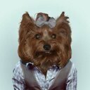 chenchocantero's profile picture. Ingeniero Tecnico en Diseño Industrial, Diseñador Gráfico y Web, apasionado del marketing y la comunicacion grafica