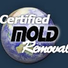http://t.co/FprtQUagxP- New York City mold removal company specializing in high tech mold inspection, mold testing, and #moldremovalservices.