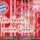 FC Bayern | F1| Sebastian Vettel