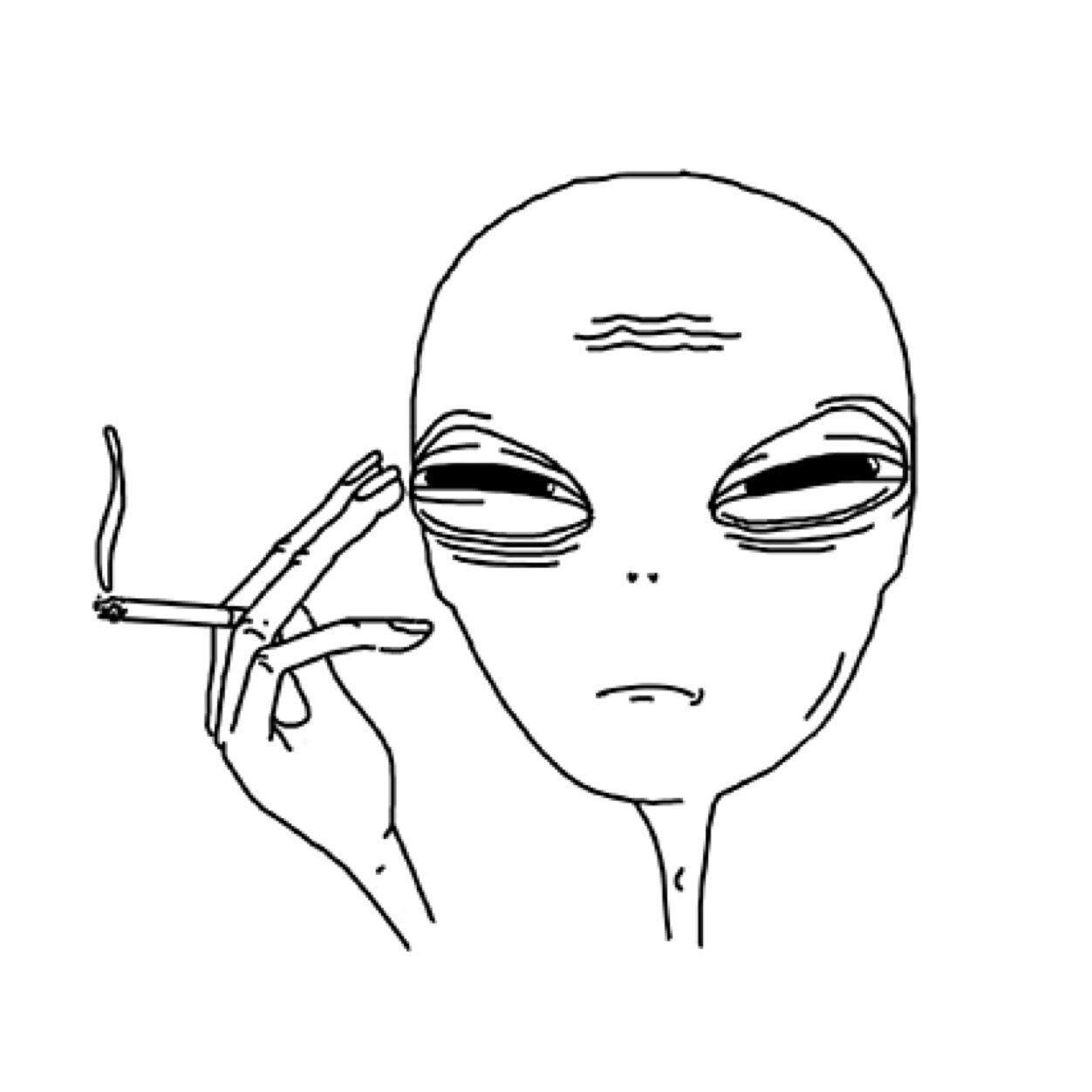 droptheworlddd's profile picture. lost