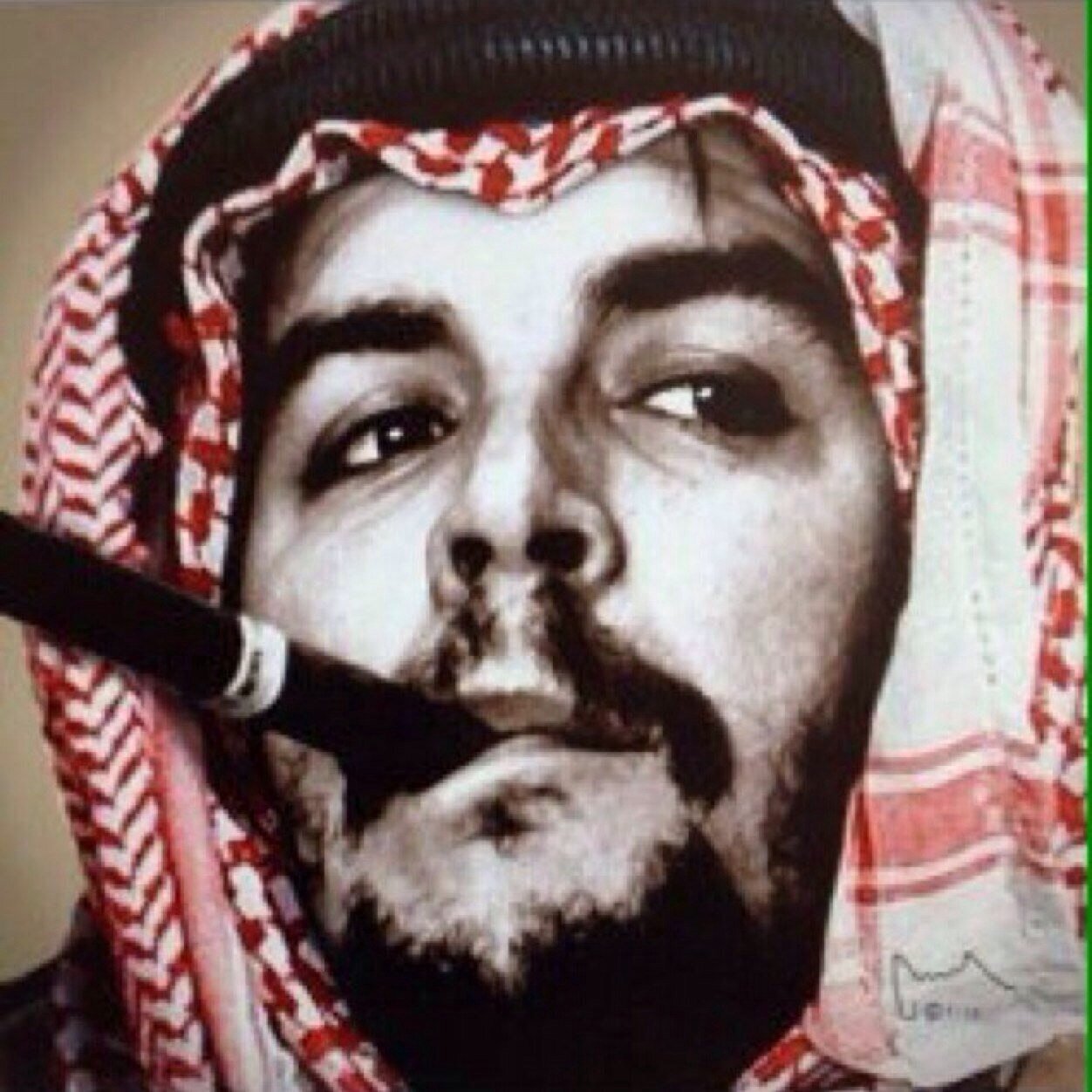الفقر ما رد النشاما عن الطيب والمإل ما عز النفوس الرديه