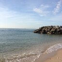 sheryl mitchell - @sherylkmitchell - Twitter