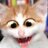 genie_vert's profile image