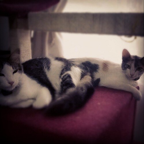 alejamrr's profile picture. 