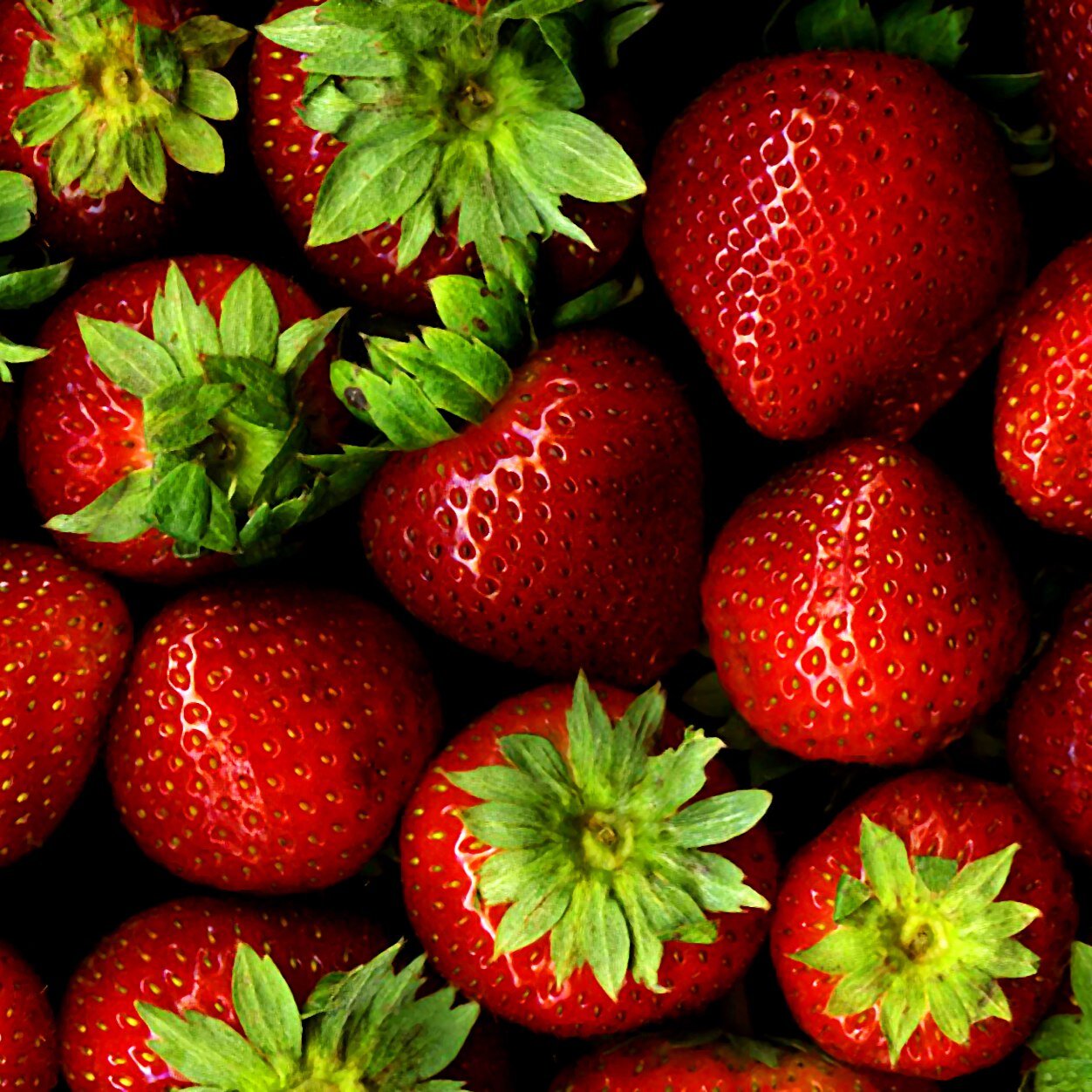 Passionate about the taste of fresh produce, beautiful recipes, the unique flavour of local produce, & great stories about growers & seasons. Share the Passion!