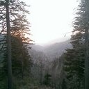 Eric Casey - @ectigers1 - Twitter