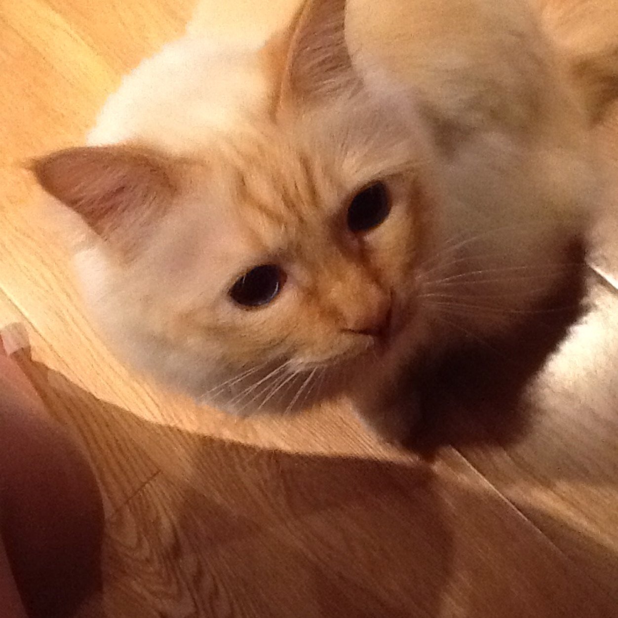 Nb1959Redhouse's profile picture. 