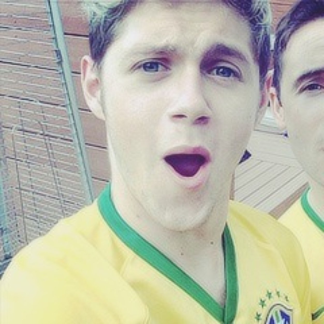 GO FOLLOW @lighteyedniall and rt