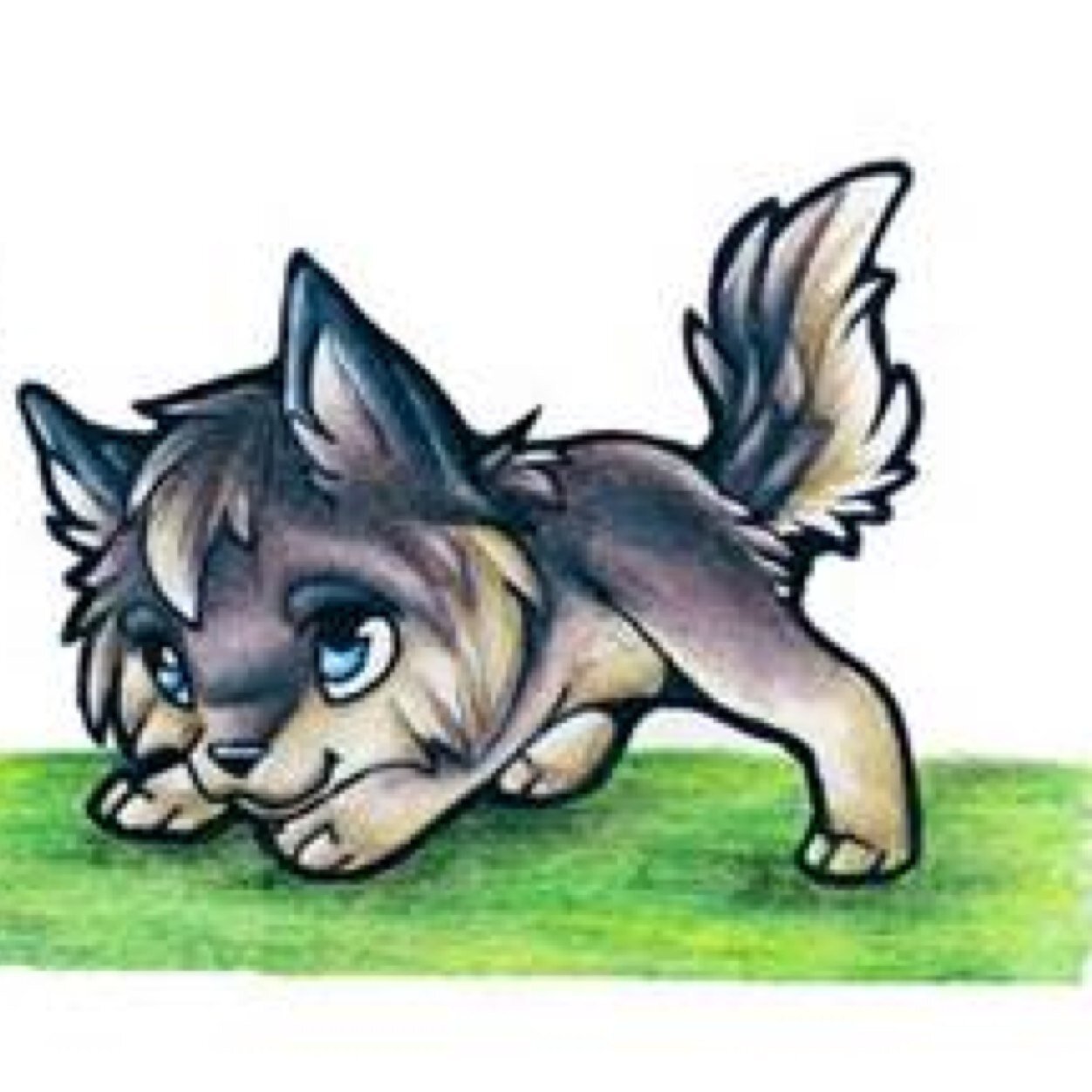 Im Teru male very shy my mommy is: @AleutheWolf new daddy is @Dakota_The_Wolf and my sister: Julie