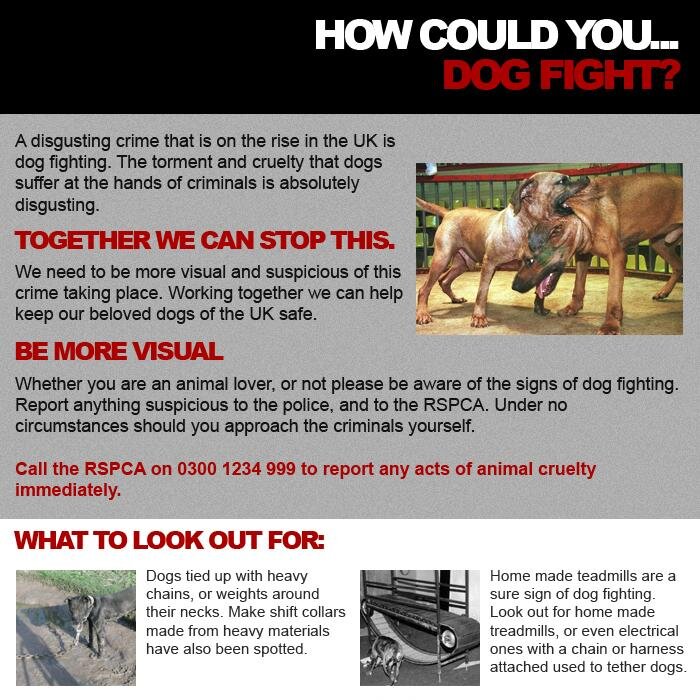 HowCouldYou26's profile picture. 