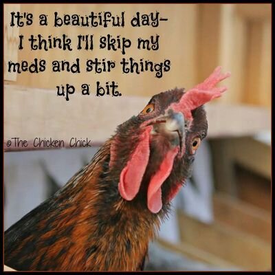loving life...and just a little crazy.;)