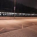 palekseev51's profile picture. Орел мух не ловит