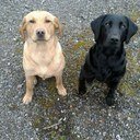 Bryn Cox - @CoxBryn - Twitter