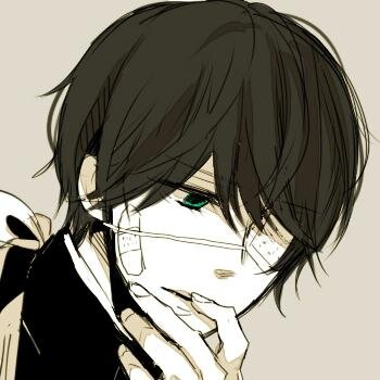 Healer, Takes injuries from targets, and they appear on him, Age: 17. Loves. Baking, Hates the Dark,  Homosexual. Roleplay (Dangan Ronpa: Ultimate Sacrifice