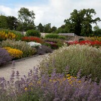 Ballyfin (@ballyfindemesne) 's Twitter Profile