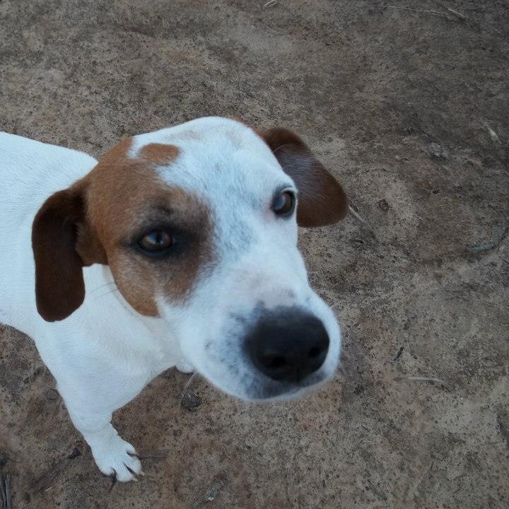 DrpPops's profile picture. We're raising awareness to Animal Cruelty, so we can help put a stop to it, FOREVER! #WeCARE Thanks for helping us, in our efforts, to save ALL animals' lives!