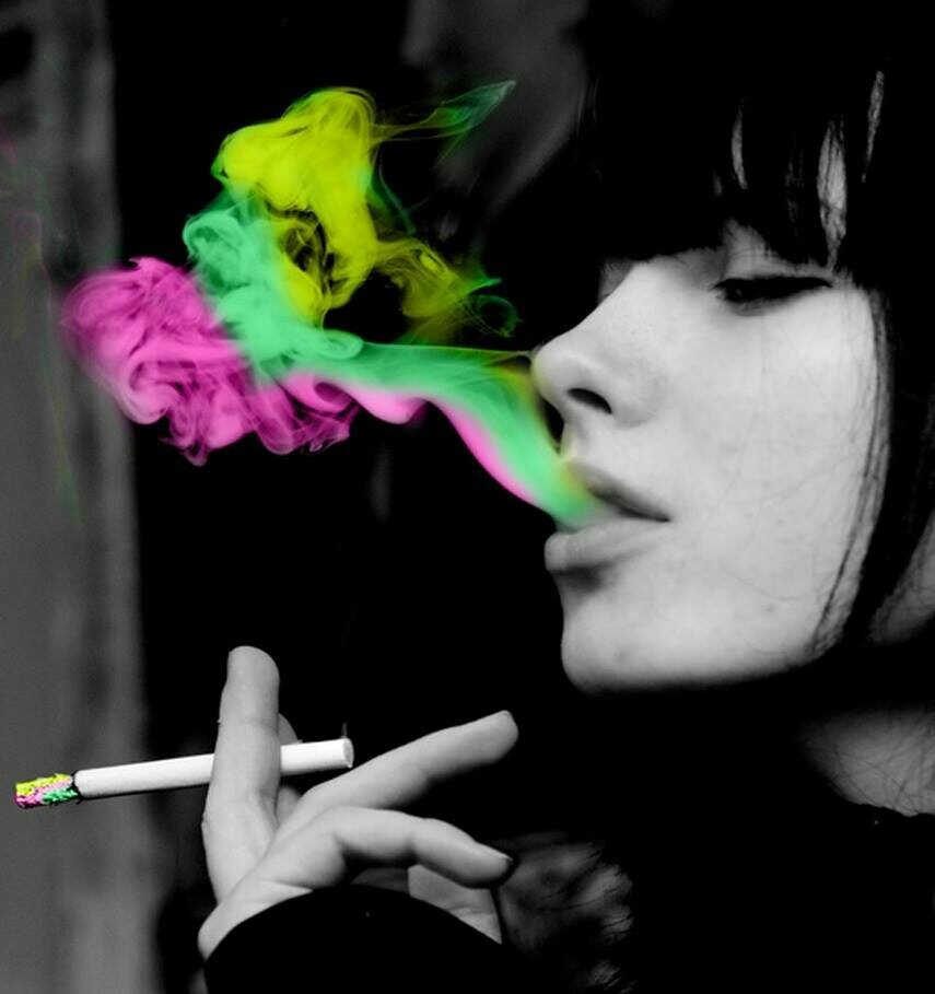 vaniavania431's profile picture. 