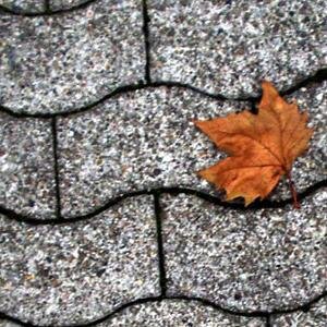 fymmie's profile picture. auch schlafen ist eine form der kritik