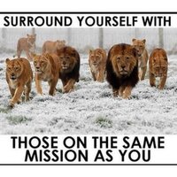 piphunta (@piphunta) 's Twitter Profile