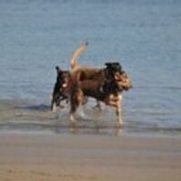 fred k (@fredkilian) 's Twitter Profile