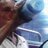 _chulet's profile image