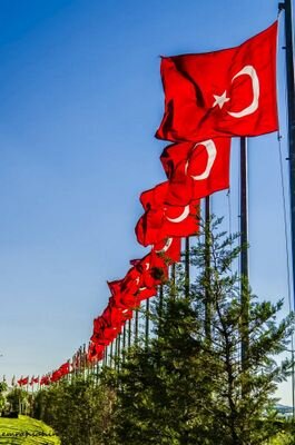 TR
Adana