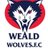 WealdWolves's profile image