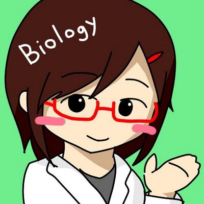 生き物の雑学bot 人の血液は赤色ですが これは赤血球に含まれるヘモグロビンの色によるもので イカやタコ等の血液 は代わりにヘモシアニンという色素が含まれているので青緑色なのです