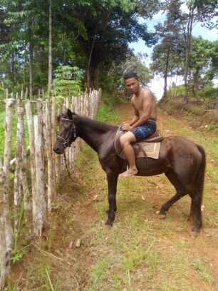 simple n dewasa
