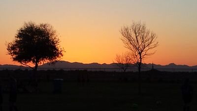 Matt_Vig's profile picture. 