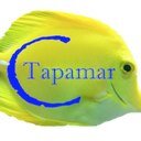 WORLD FISH TRADER