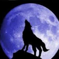 Lykos66's profile picture. 