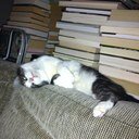 pauladberry's profile picture. Enjoy books, art, music, history, animals and new developments in science. Background in interdisciplinary humanities, art, and law.Stop fracking!