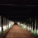 cascojavier's profile picture. 