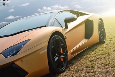 Xtrulox_54's profile picture. 