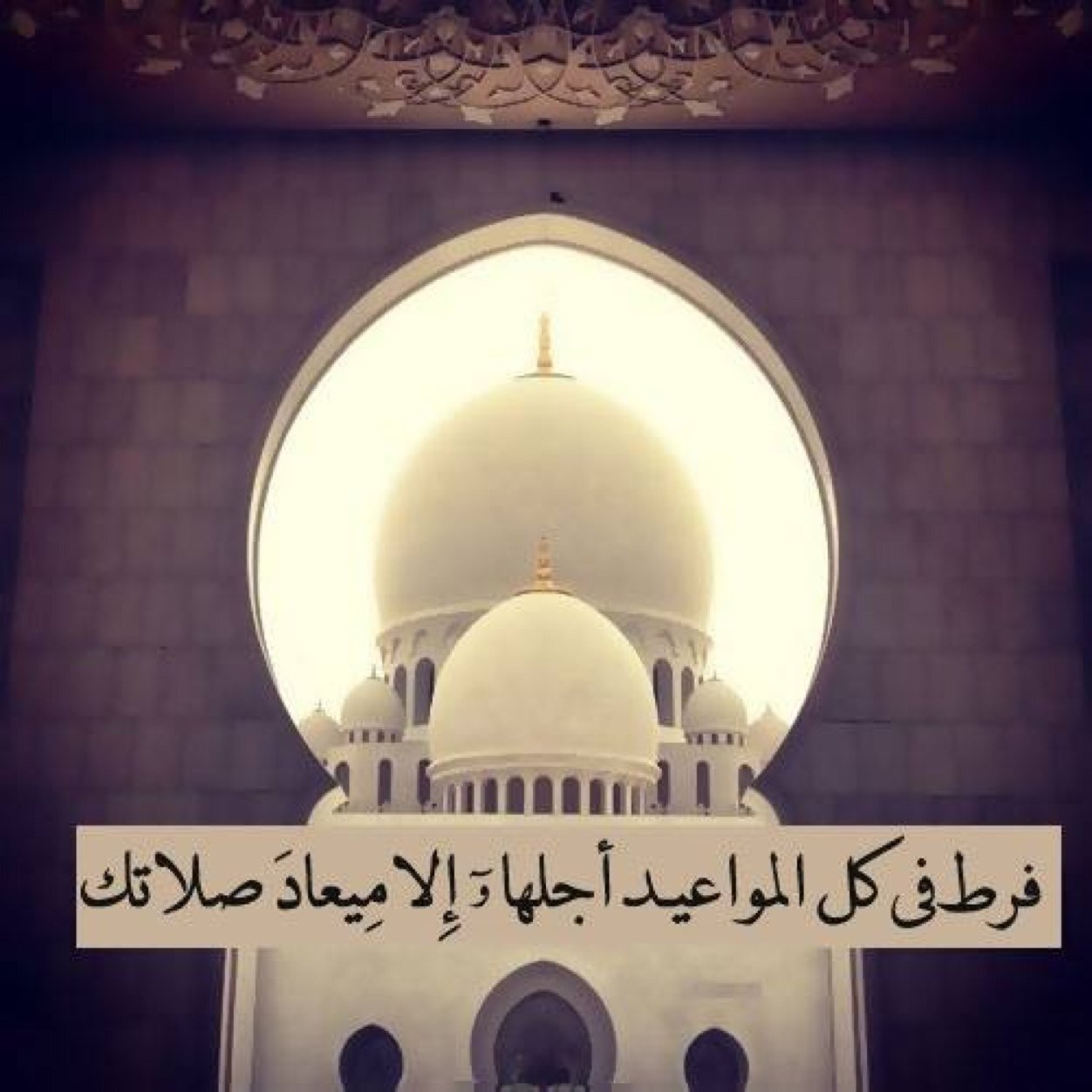 لي و للمؤمنين و المؤمنات الأحياء منهم و الأموات ' فولو و رتويت و اكسب الأجر ان شاء الله
